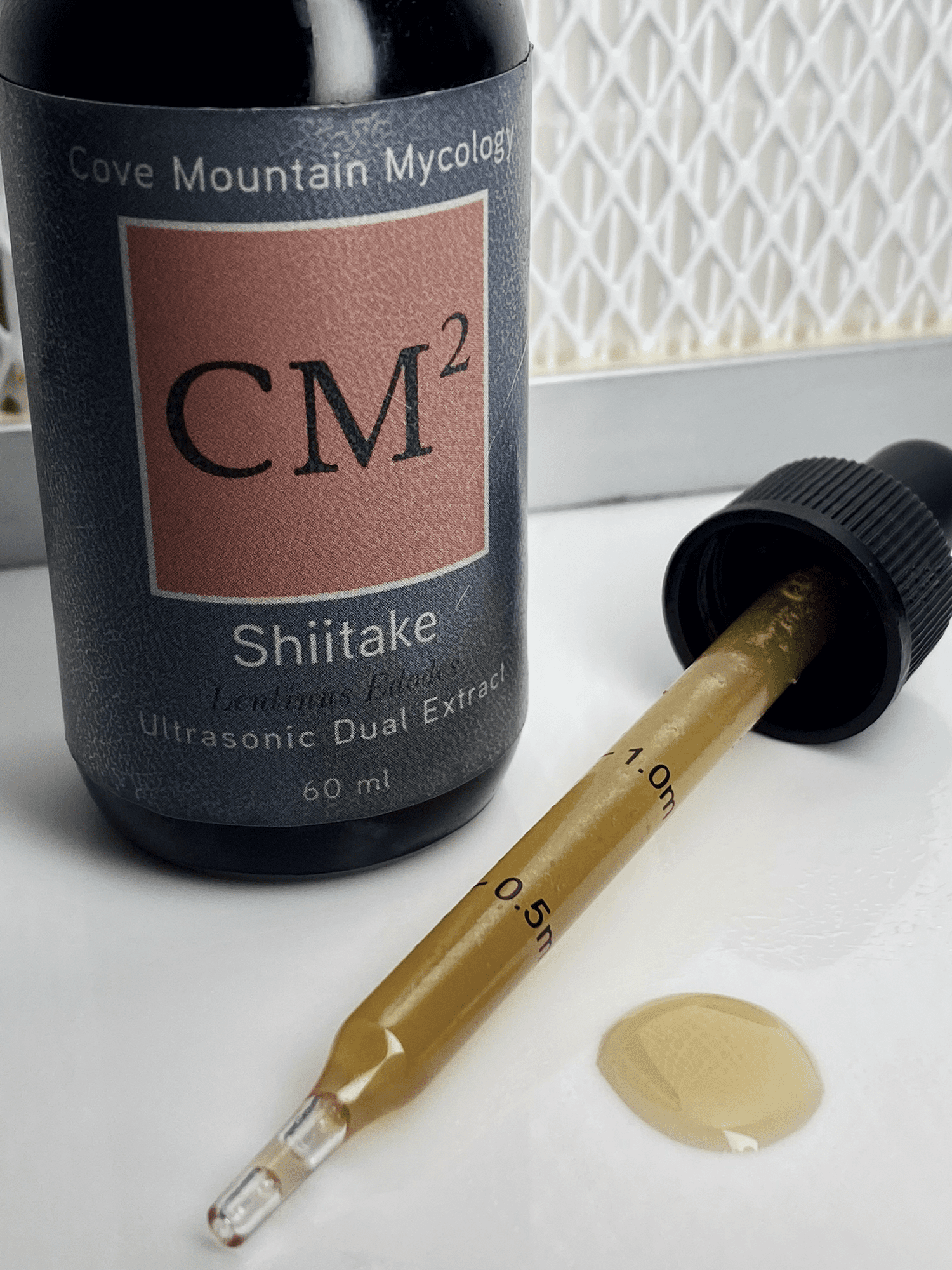 Shiitake: Radiance — Cove Mountain Mycology